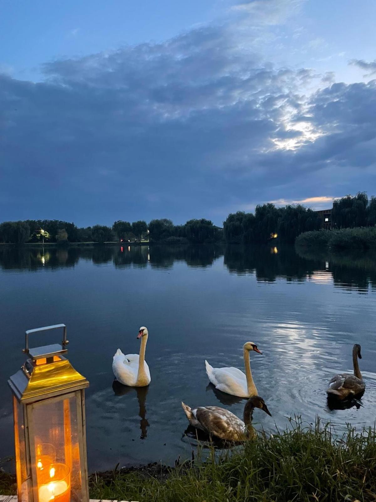 Therme - Corbeanca By The Lake Luxury Villa 외부 사진